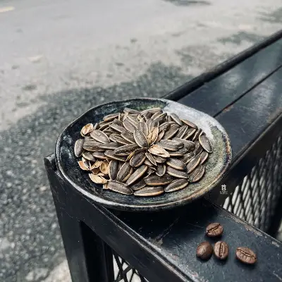 HƯỚNG DƯƠNG