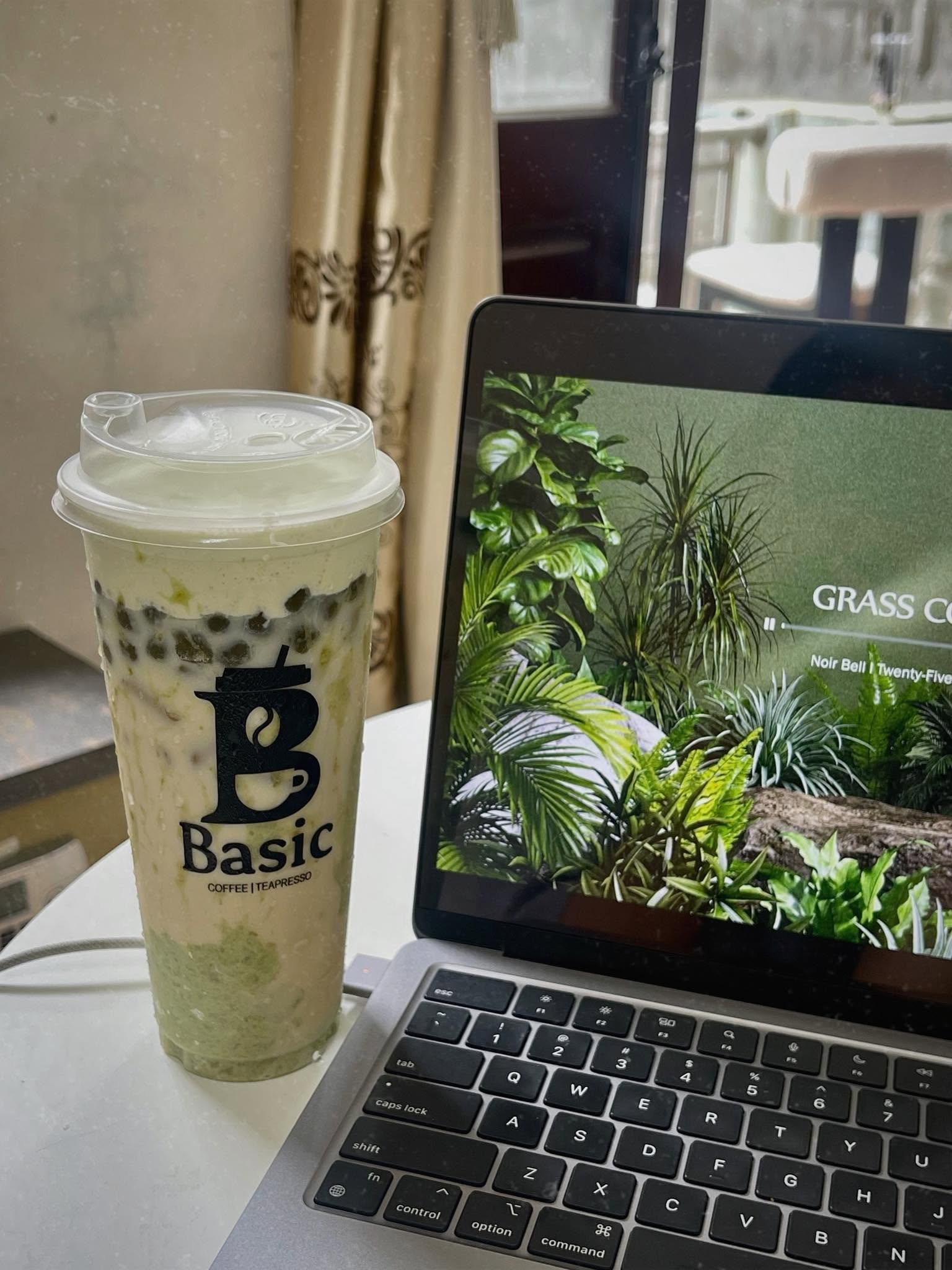 MATCHA OLONG